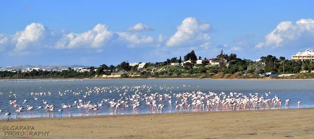 לרנקה Pelides Apartments